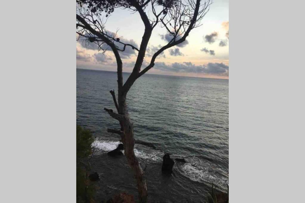 Estudio En Denia Con Piscina Y Wifi Privada, A 100 M Del Mar المظهر الخارجي الصورة